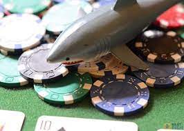 Poker Strategy - Sit and Go Shark